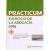 Practicum ejercicio de la abogacía 2018